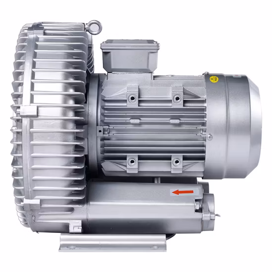 Factory Supply Single Stage Rotary Vane Vacuum Pump Air Blower for Fish Pond