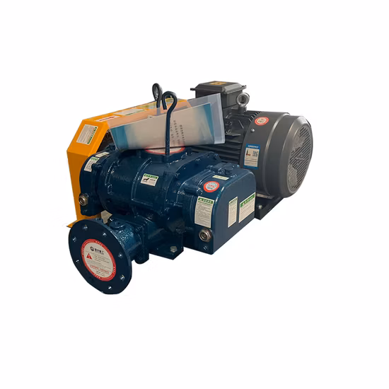 Air Roots Blower Vacuum Pump for Sewage Treatment